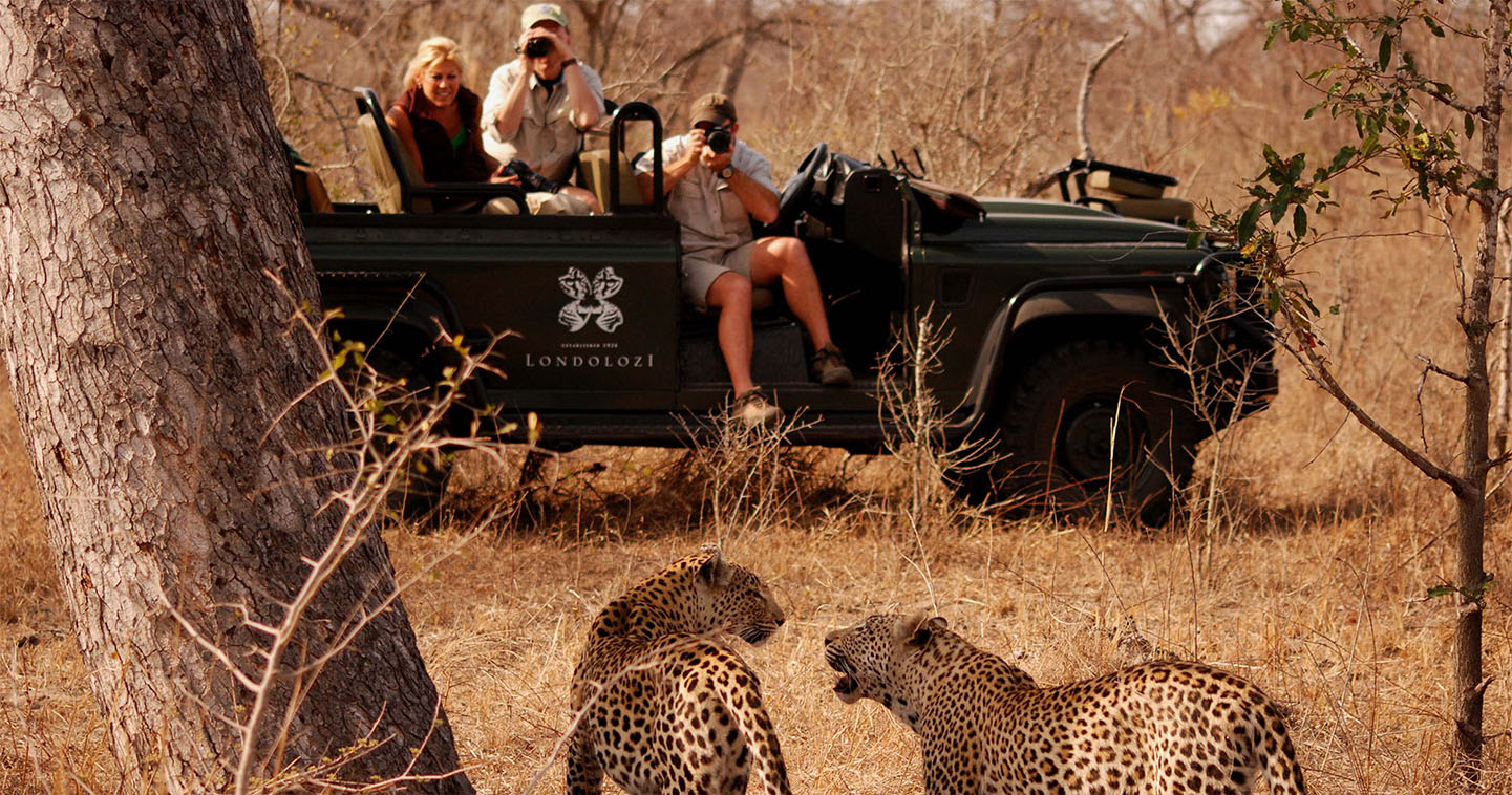 Explore South Africa during a game drive at Londolozi