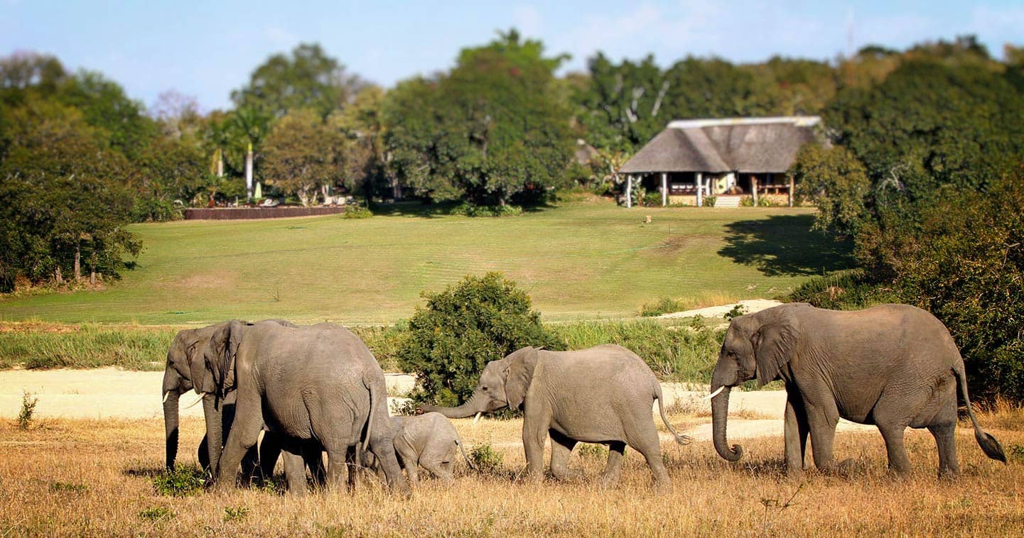 Inyati Safari Lodge in Sabi Sands Game Reserve - Kruger National Park South  Africa luxury safari