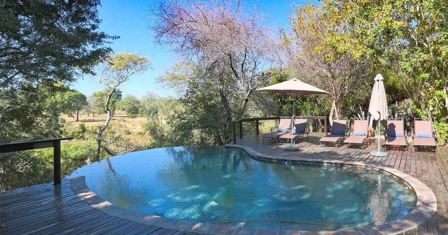The swimming pool at Elephant Plains Lodge in Sabi Sand