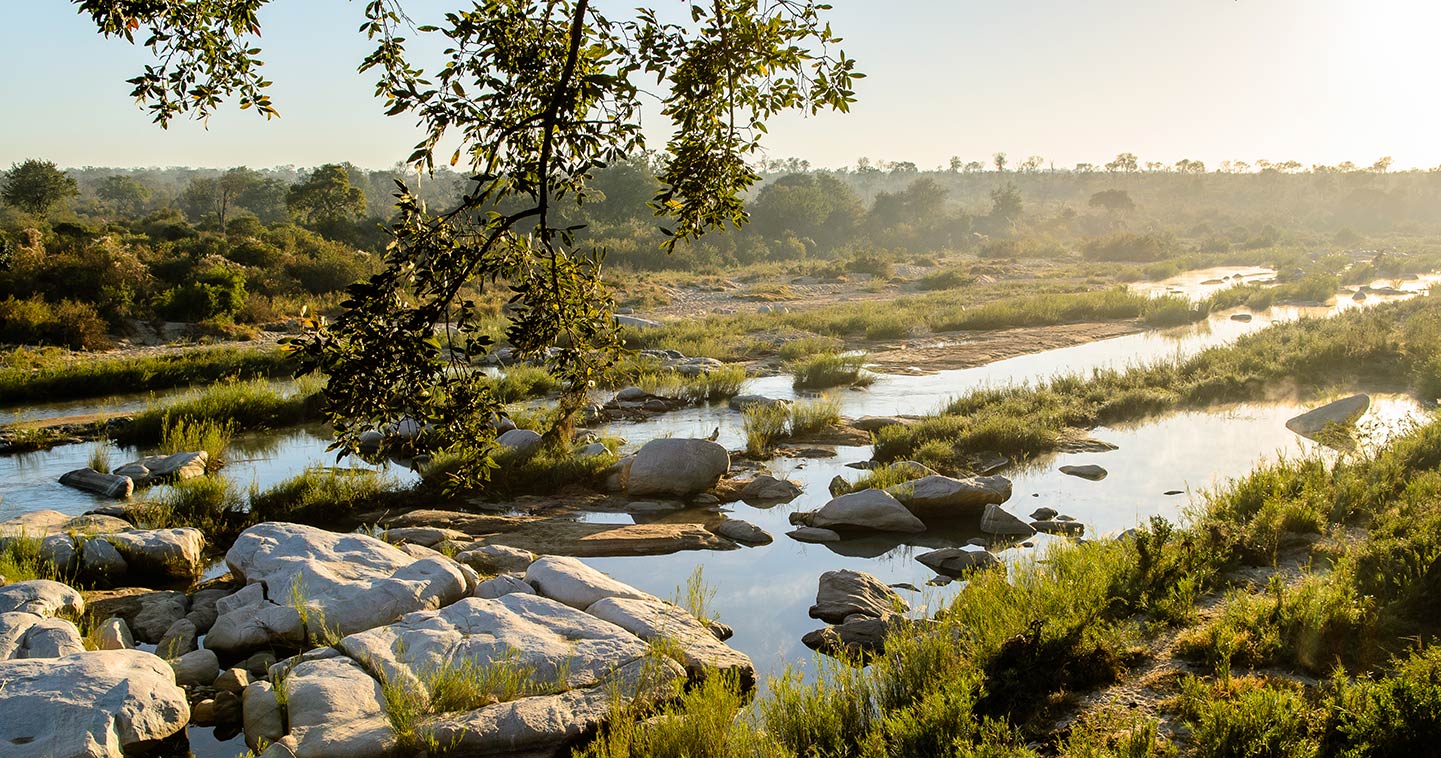 Sabi Sands Game Reserve travel information