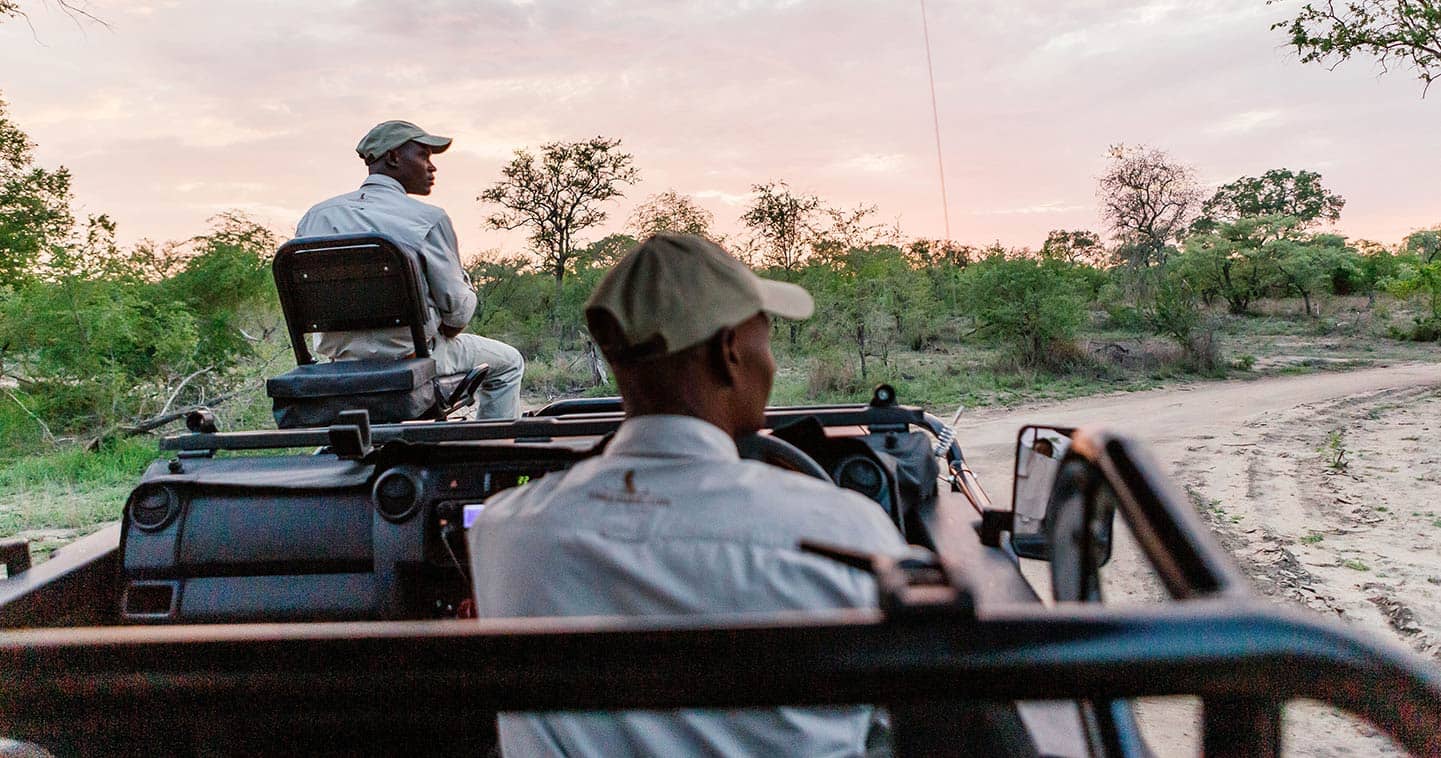 Cheetah Plains | Sabi Sands | Kruger National Park ...