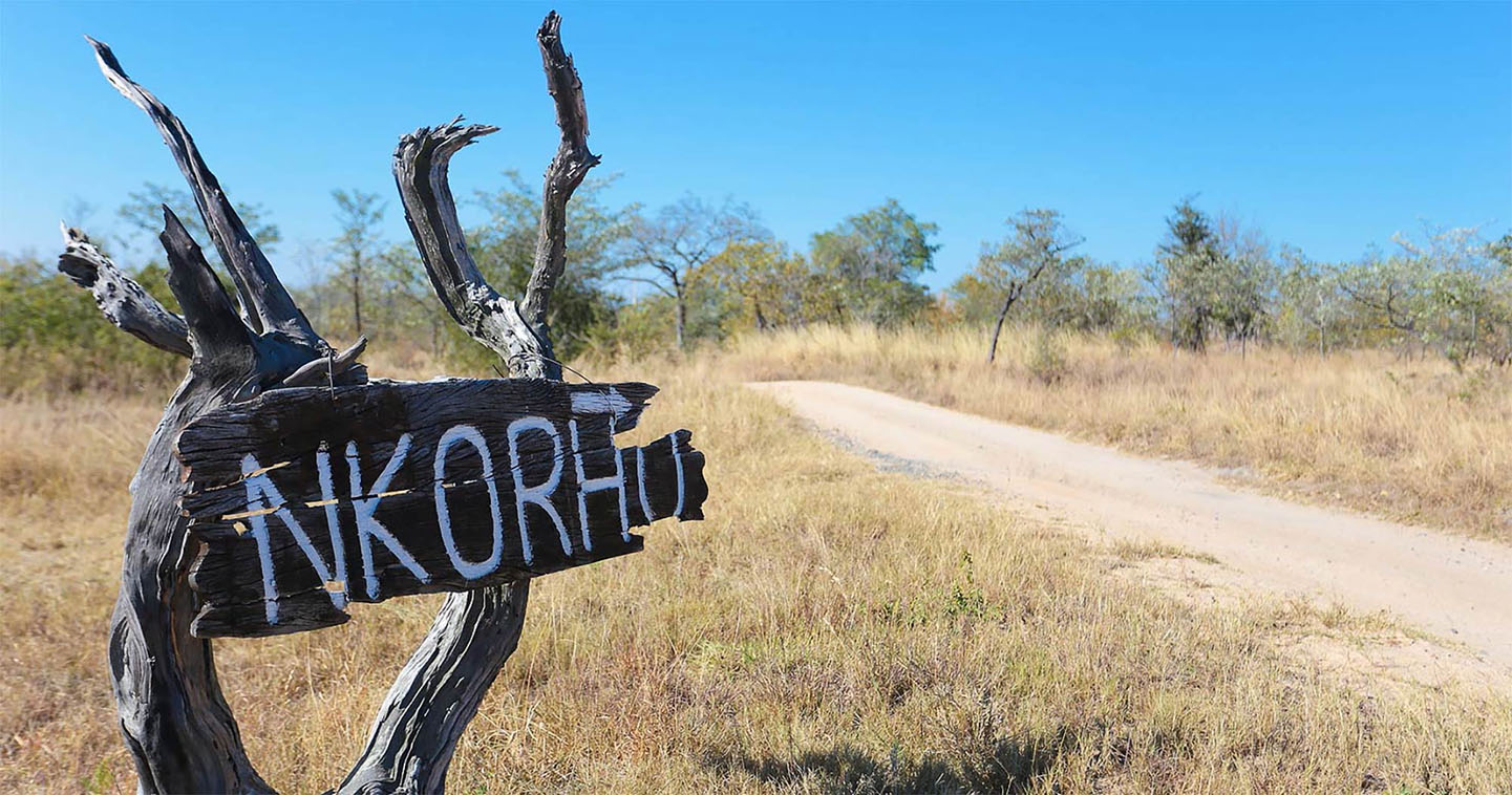 Safari sign Nkorho in South Africa