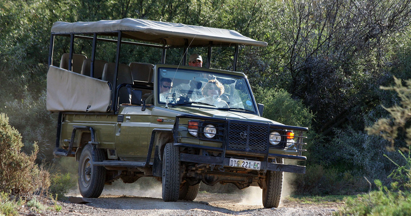 Game drive safari in South Africa