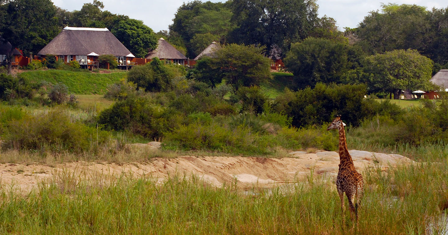 Enjoy a luxury South Africa safari at Mala Mala
