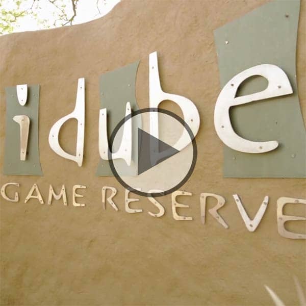 Idube Lodge video