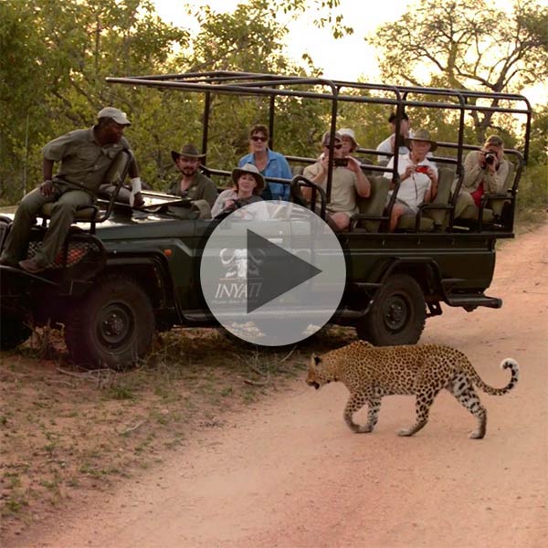 Inyati Safari Lodge video