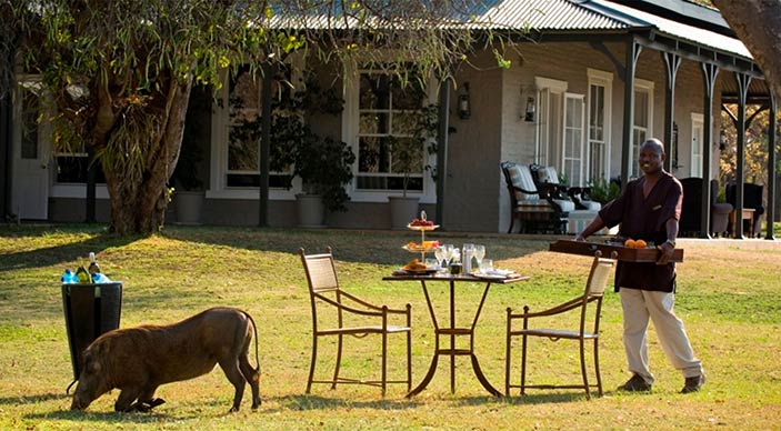 Special honeymoon offer for $Beyond Sabi Sands Lodges - Bride pays 50% less