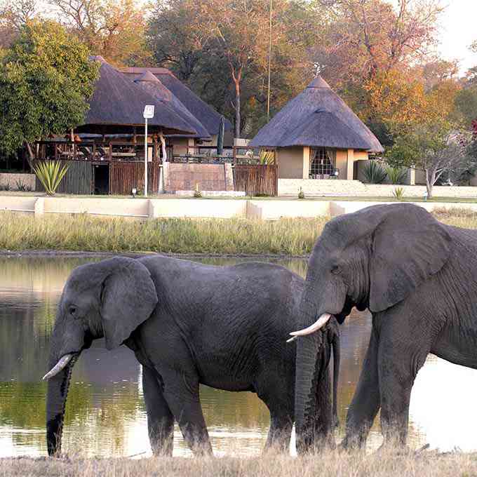 View Arathusa Safari Lodge