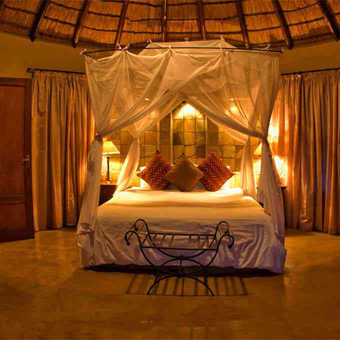 View Elephant Plains Lodge information