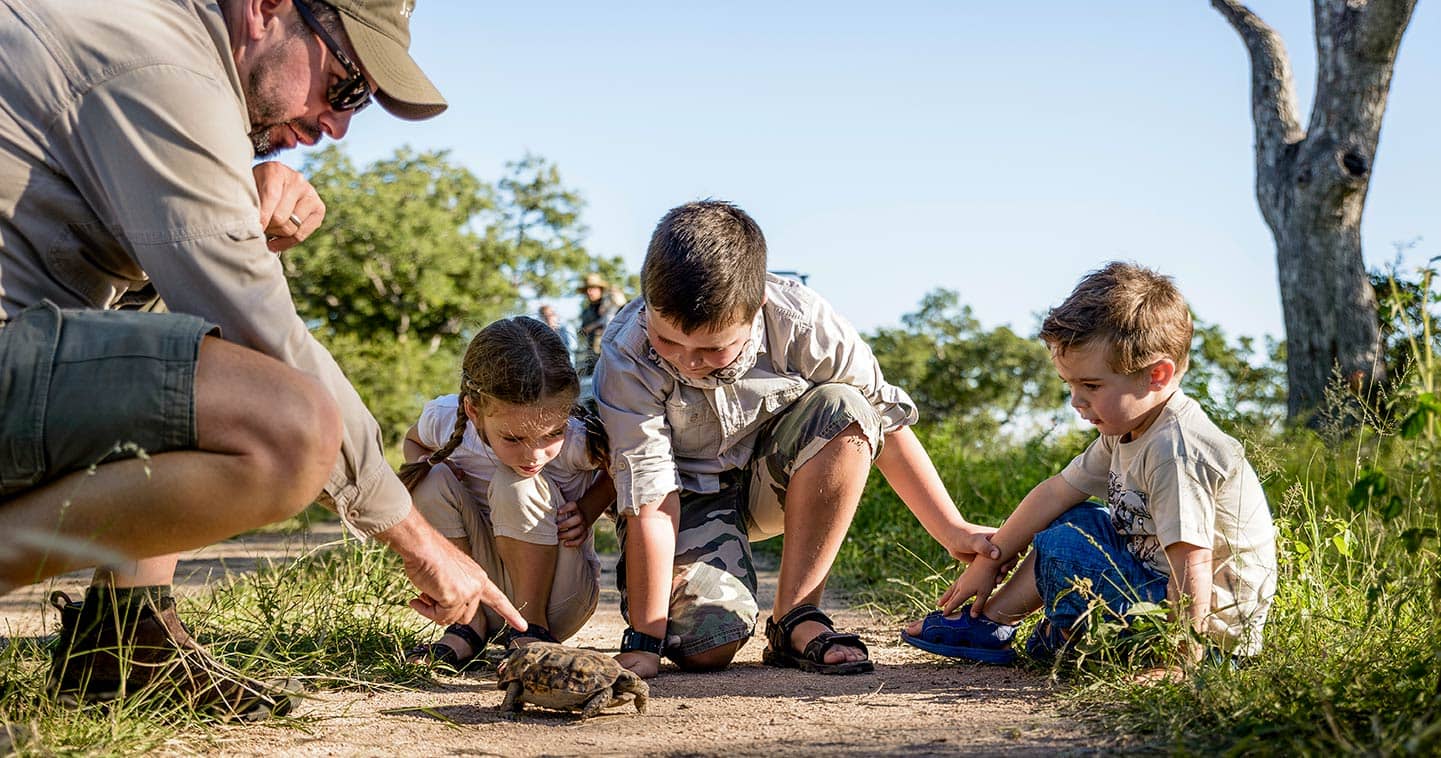 Family friendly safari in South Africa at Singita Sweni