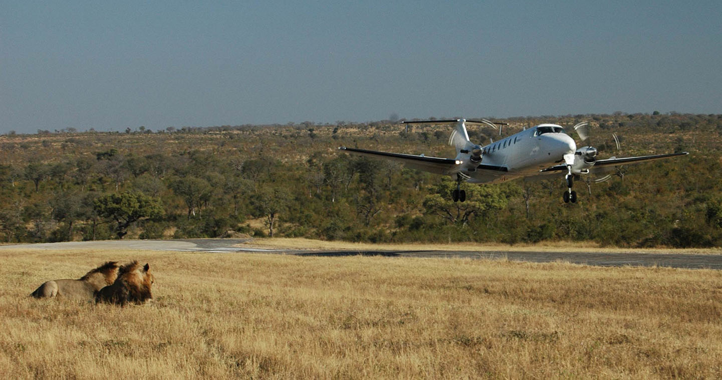 Federal Air flights Sabi Sands