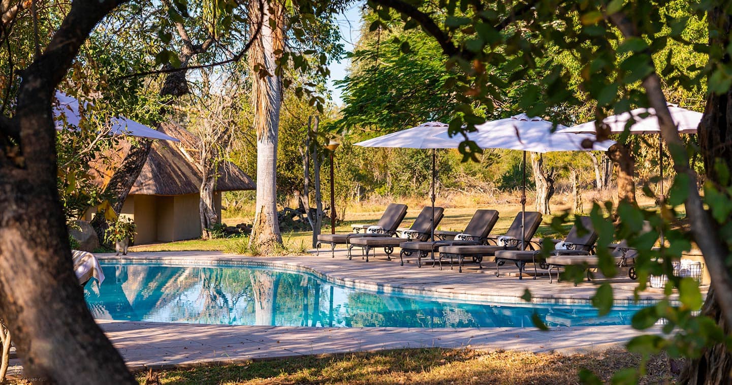 Inyati Lodge pool in Sabi Sands