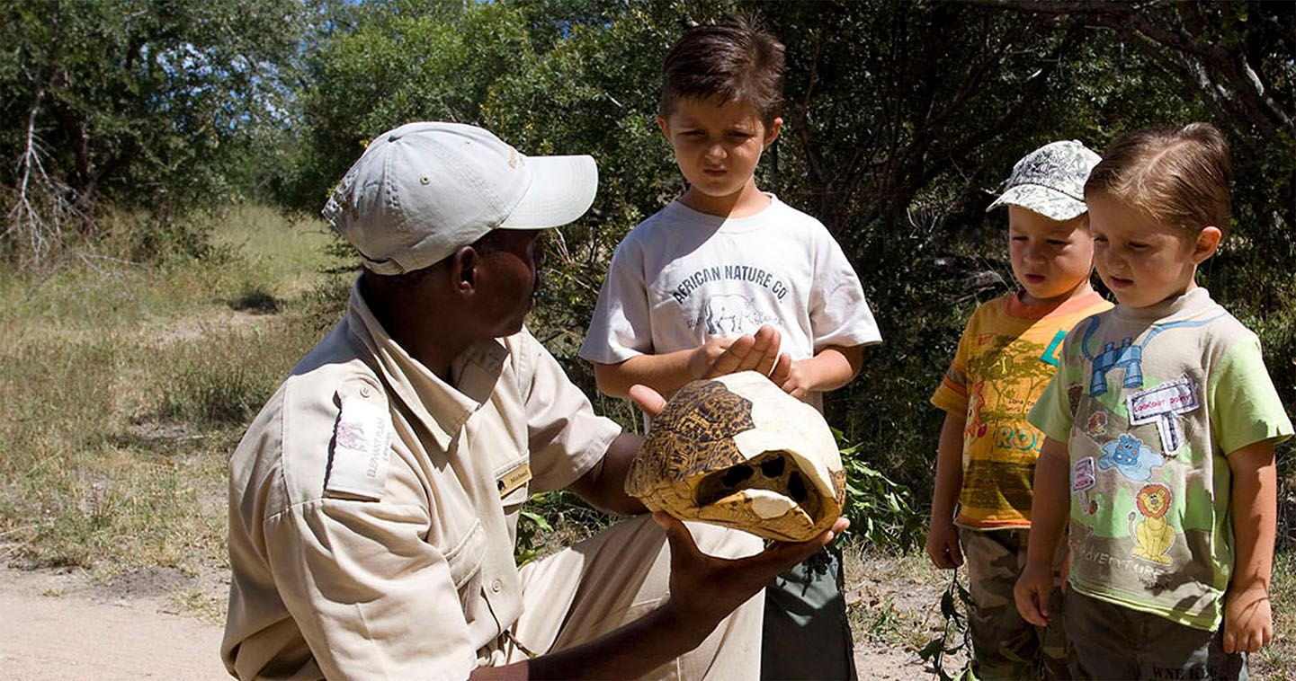 Kid friendly safari in Sabi Sands: Elephant Plains Lodge