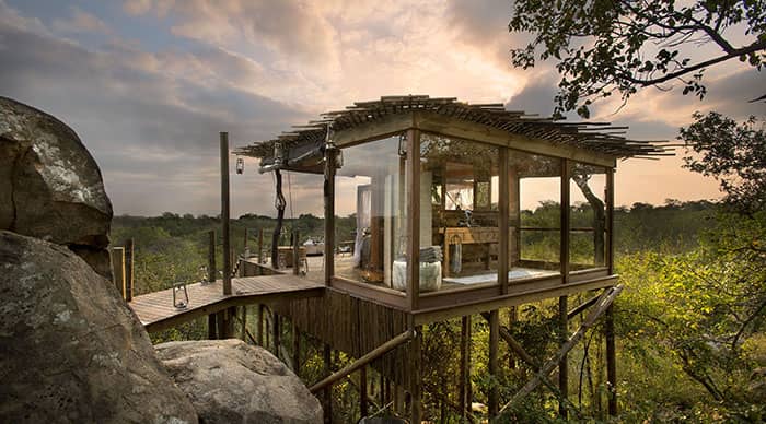 Kingston Tree House in Sabi Sands