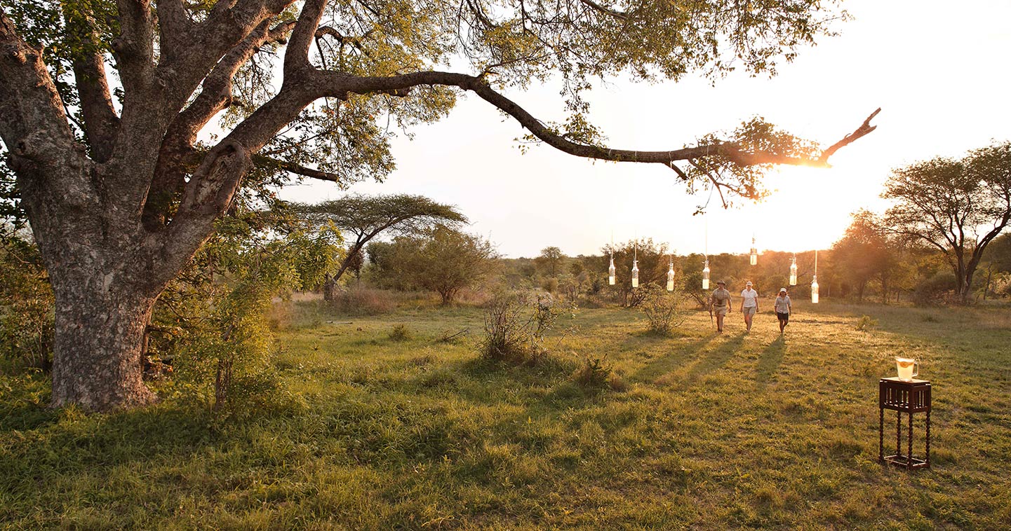 Kirkmans Kamp in Sabi Sand game drive