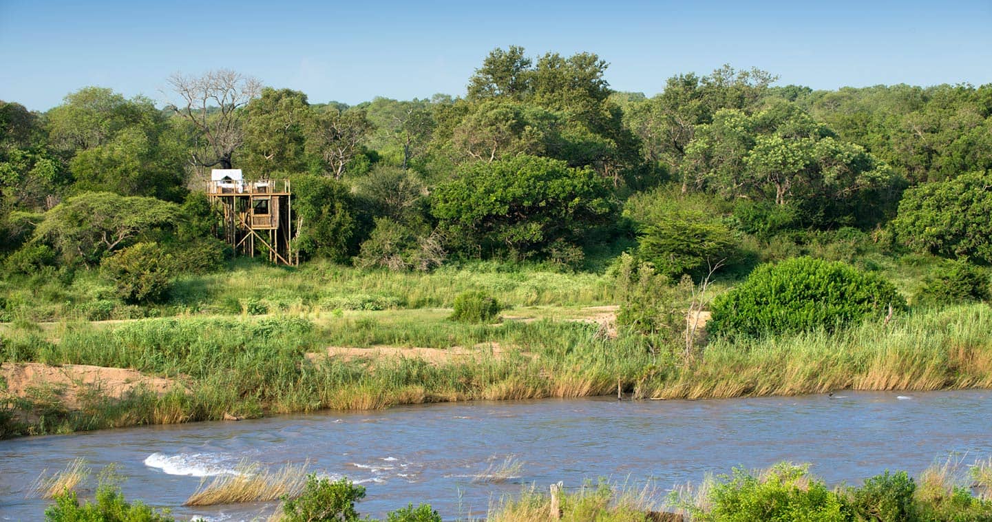 Lion Sands Game Reserve treehouse