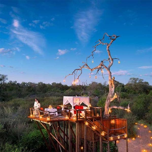 Lion Sands treehouses Sabi Sands