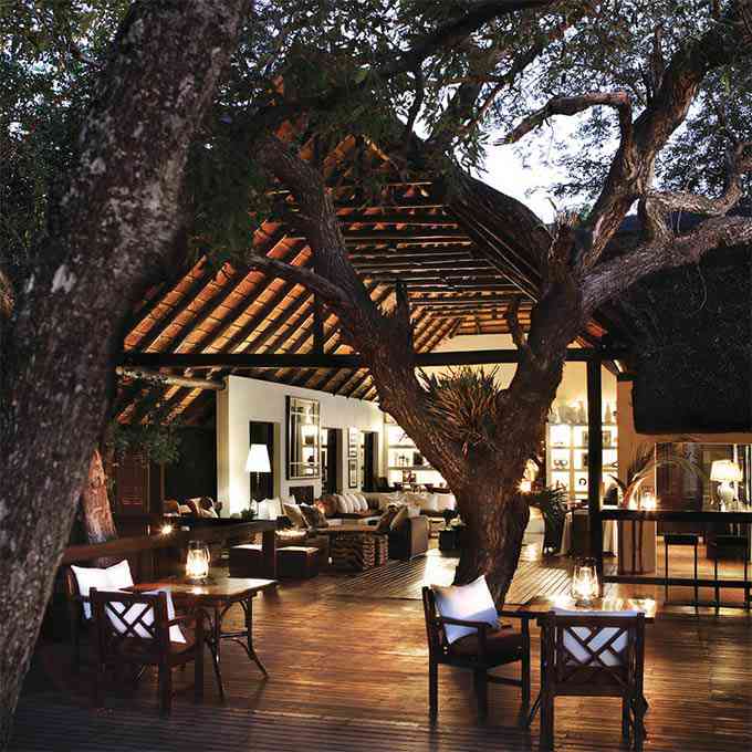 Londolozi Tree Camp