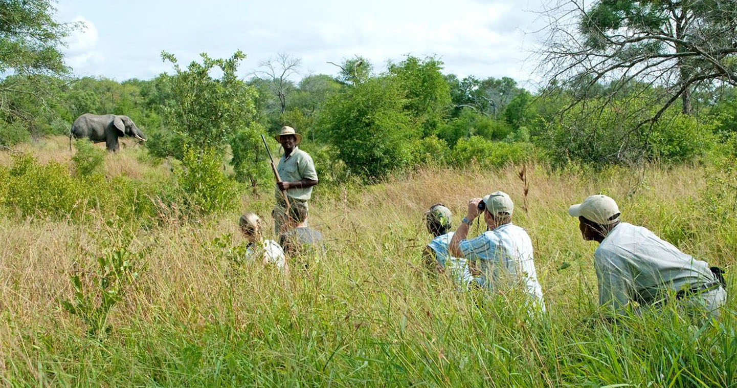 Explore Sabi Sand on a game walk when staying at Notten's Bush Camp