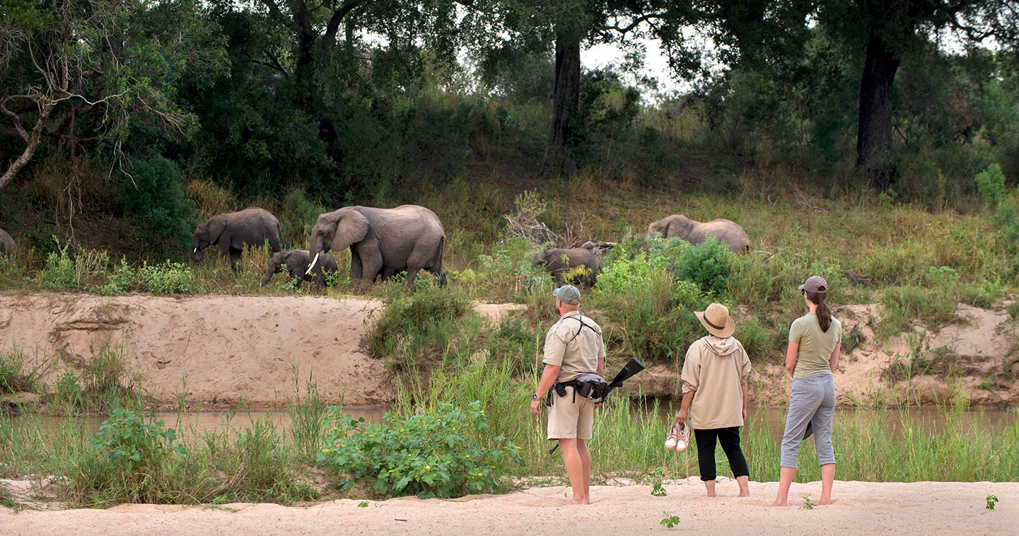 Sabi Sands safari at Dulini River Lodge