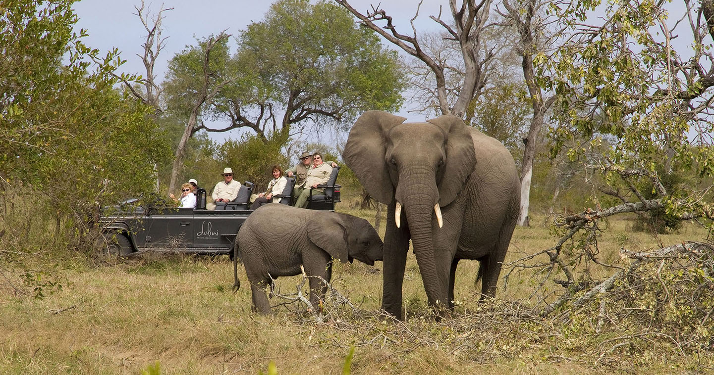 Enjoy a safari game drive with Dulini Moya in Sabi Sands