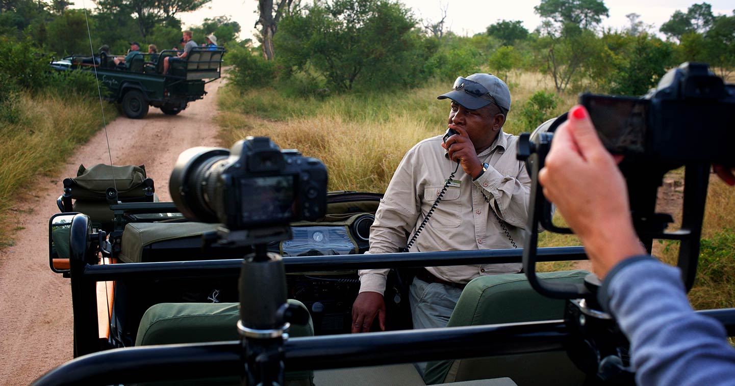 On safari in Sabi Sand in South Africa