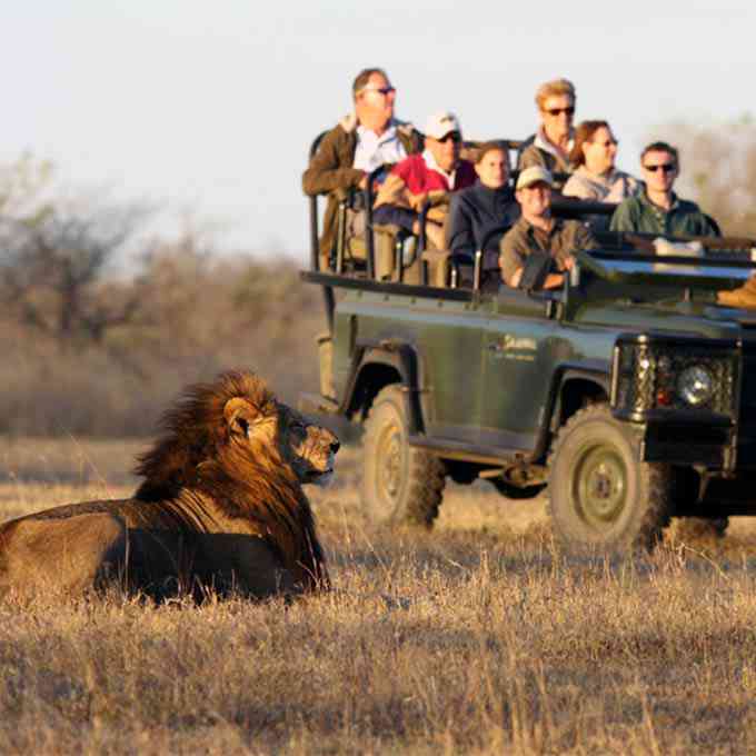 View Savanna Game Lodge in Sabi Sands Game Reserve