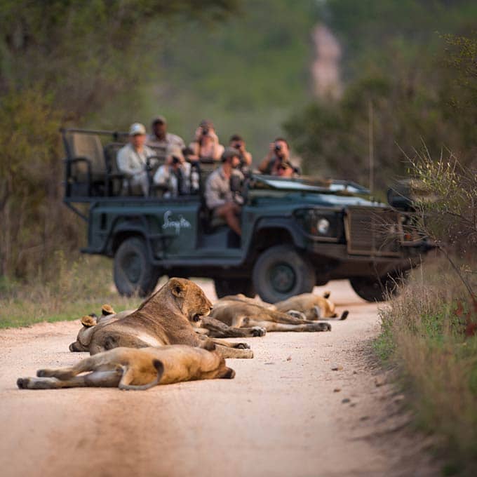 Singita Castleton Lodge