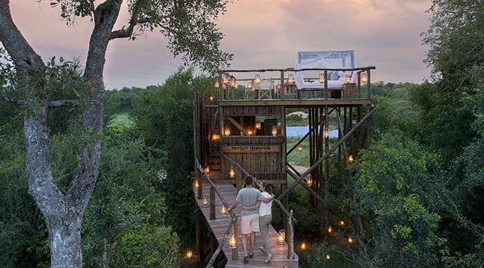 Tinyeleti Tree House in Sabi Sands