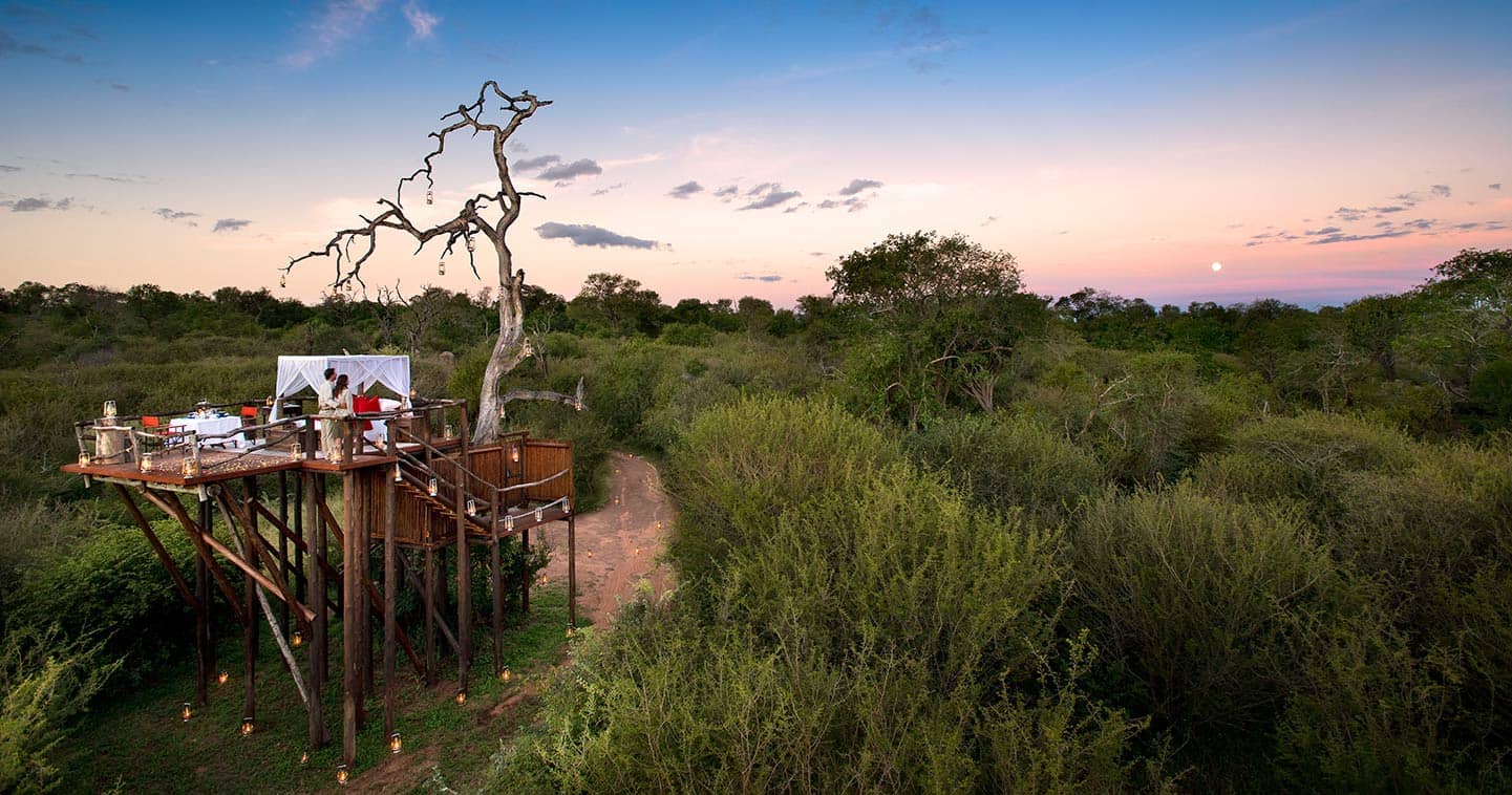 Tree house safari accommodationL in Sabi Sands