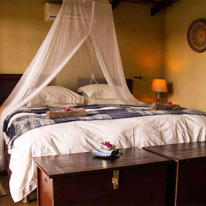 View Umkumbe Safari Lodge in Sabi Sands Game Reserve