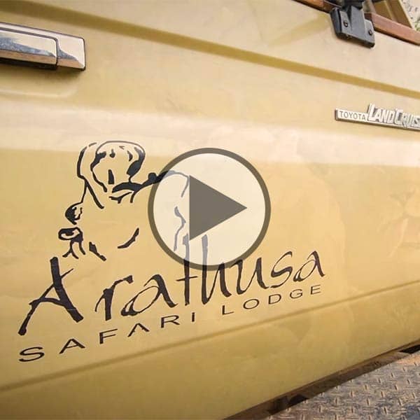 Arathusa Safari Lodge video