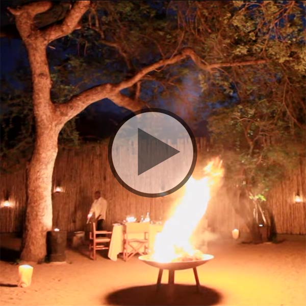 Londolozi Founder Camp video