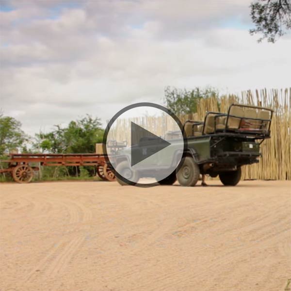 Londolozi Pioneer Camp video