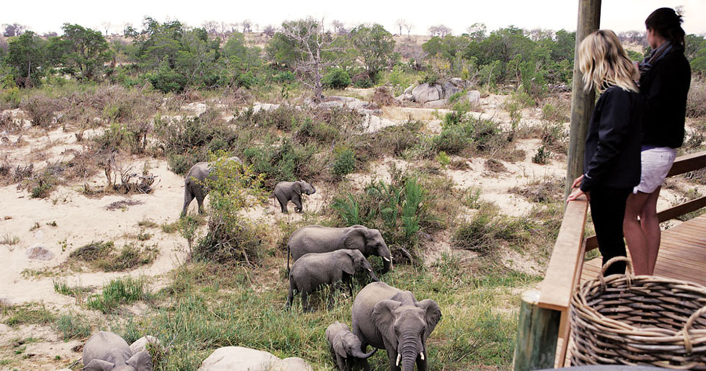 Excellent wildlife viewing at Londolozi in South Africa